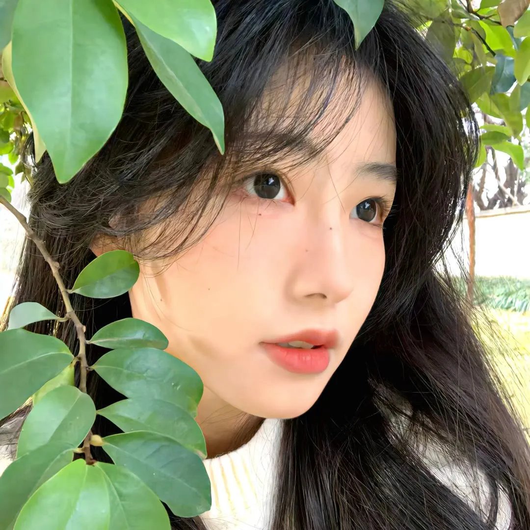 祝福的钟声
