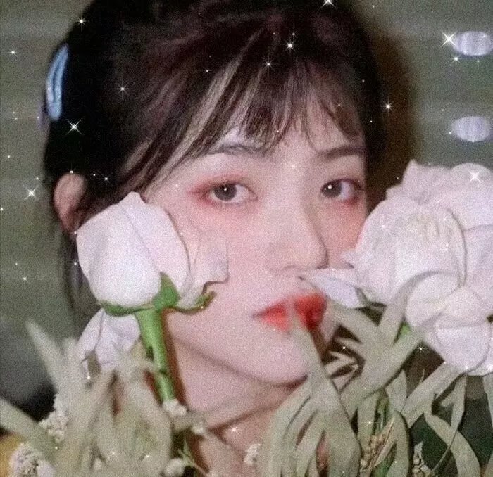 小莫莉大冒险